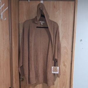 Cozy Tan Hooded Sweater